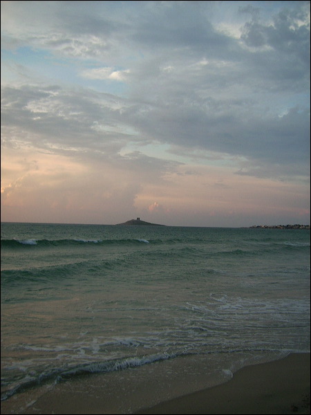 dsci0502.jpg