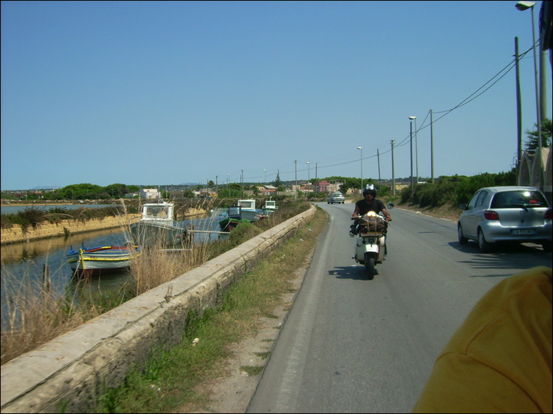 dsci0530.jpg