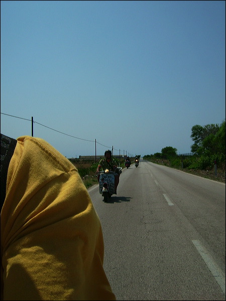 dsci0542.jpg
