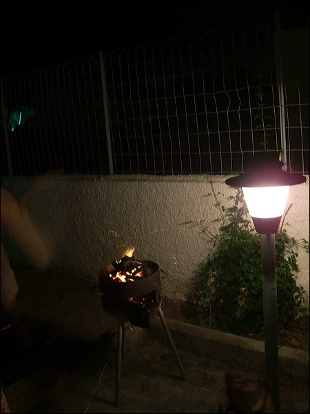 dsci0576.jpg