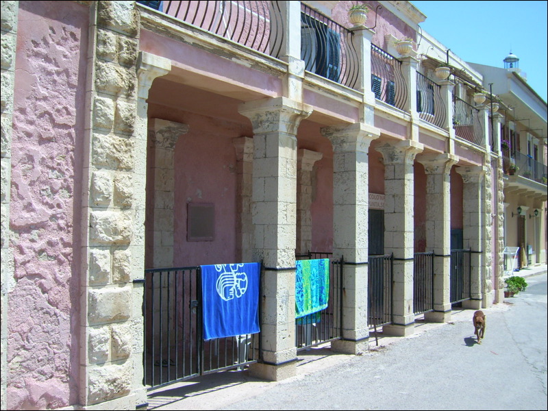 dsci0584.jpg