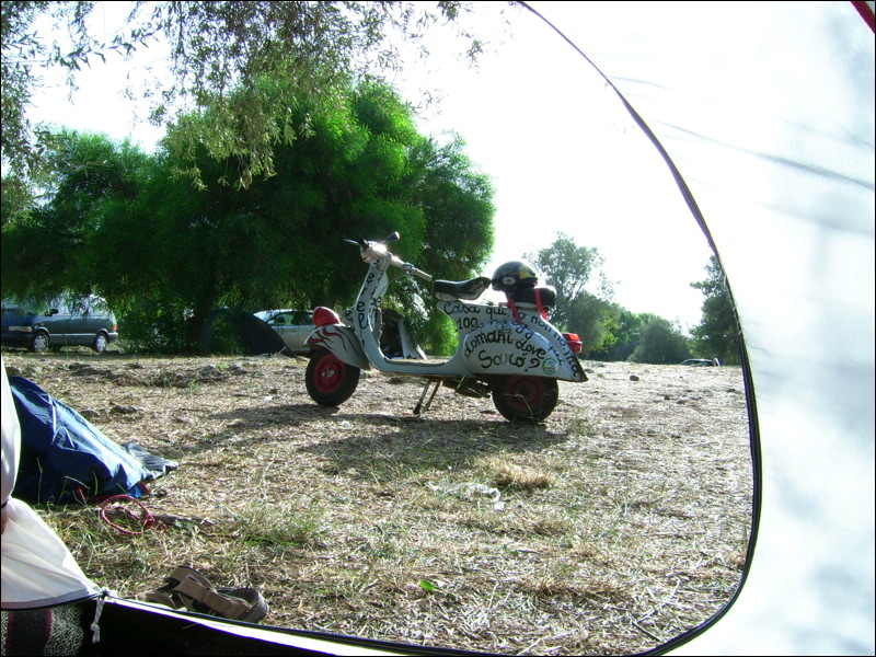 dsci0600.jpg