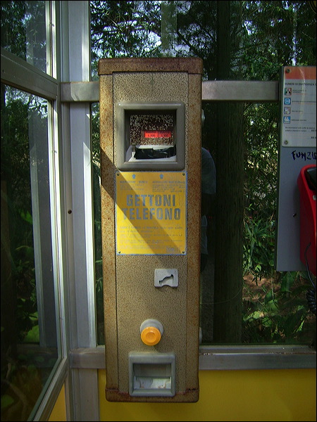 dsci0601.jpg