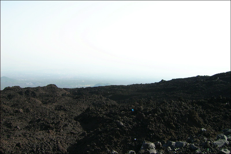 dsci0617.jpg