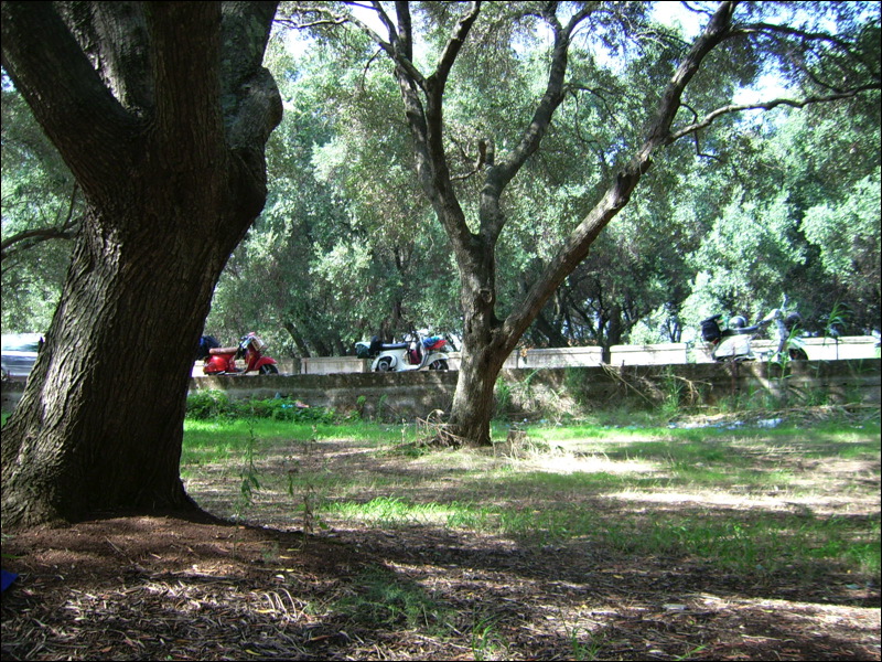 dsci0649.jpg
