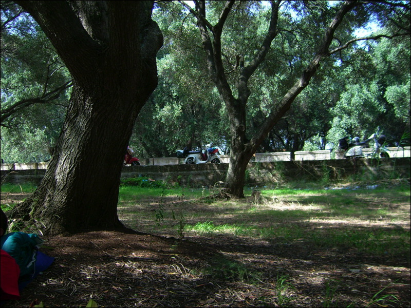 dsci0650.jpg