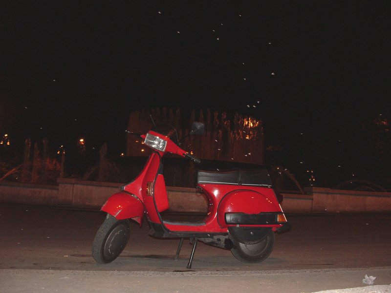 t5.jpg